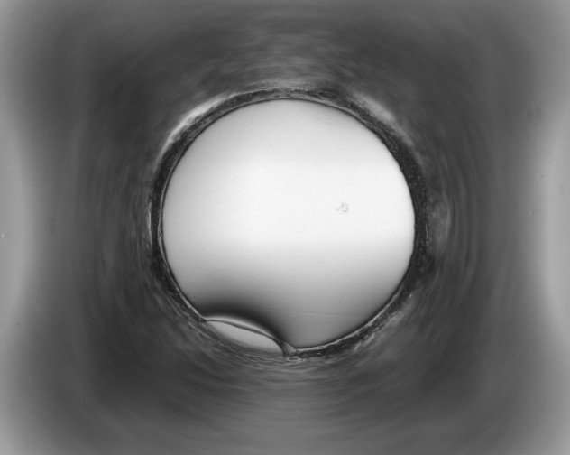 X0000086281214200704262029