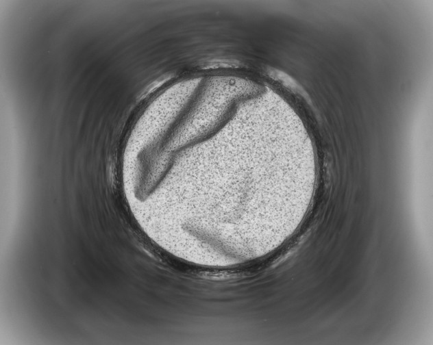 X0000086281217200704262029
