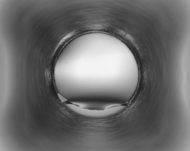 X0000086281218200704262029