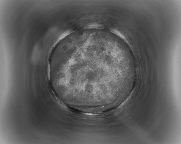 X0000086281219200704262029