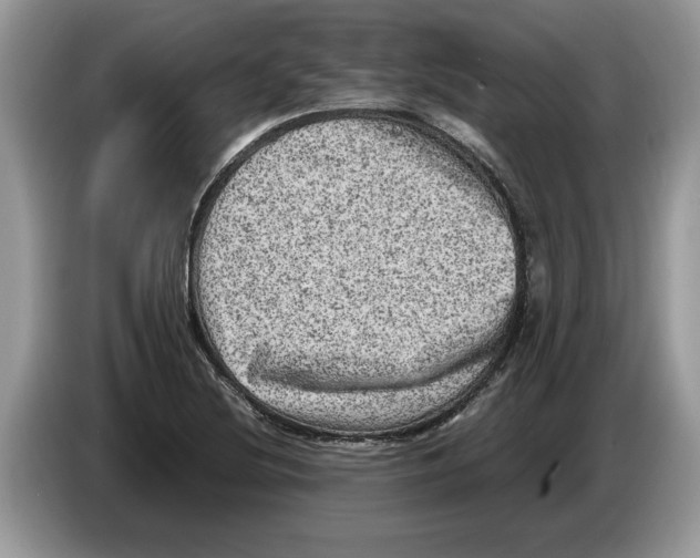 X0000086281220200704262029
