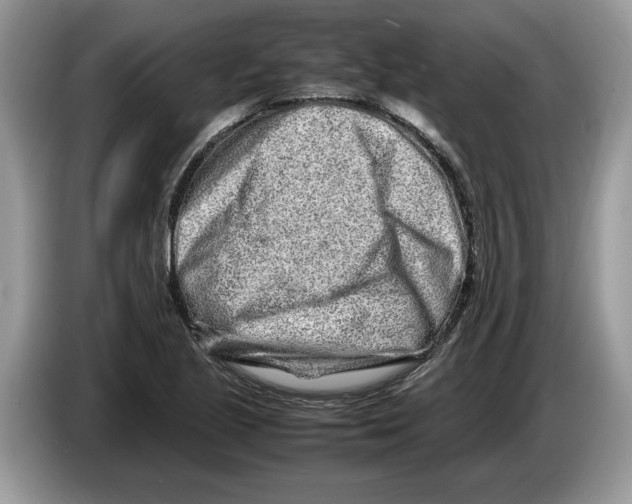 X0000086281221200704262029