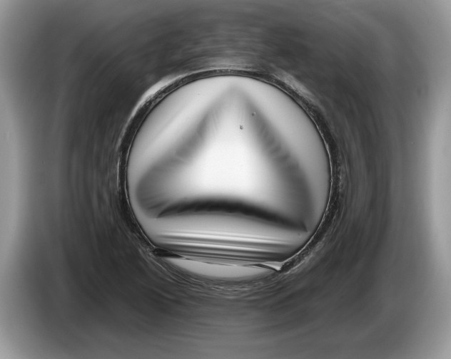 X0000086281222200704262029