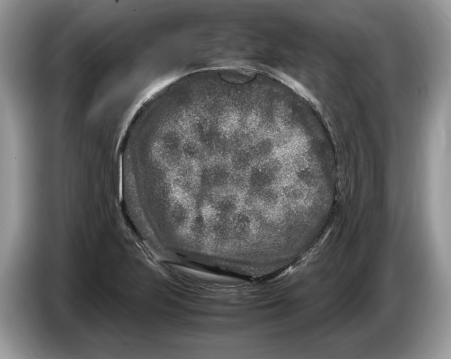 X0000086281223200704262029