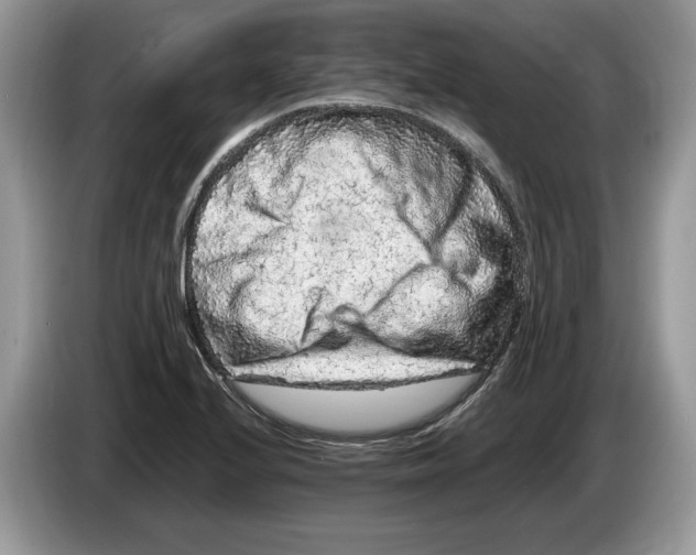 X0000086281224200704262029