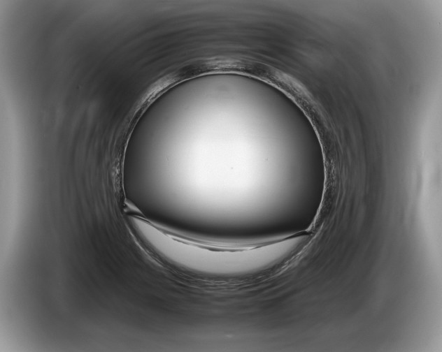 X0000086281225200704262030