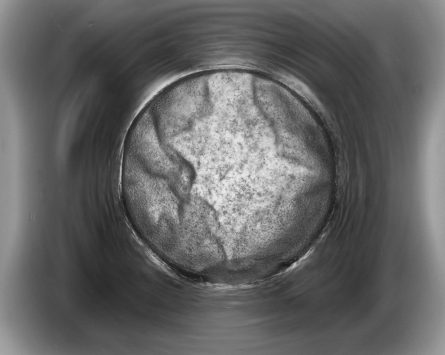 X0000086281228200704262030
