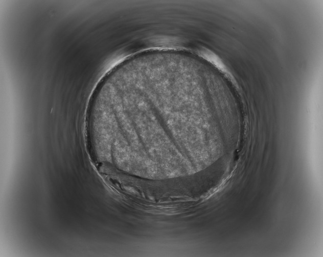 X0000086281229200704262030