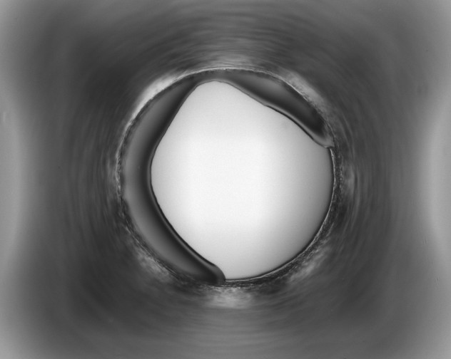 X0000086281230200704262030