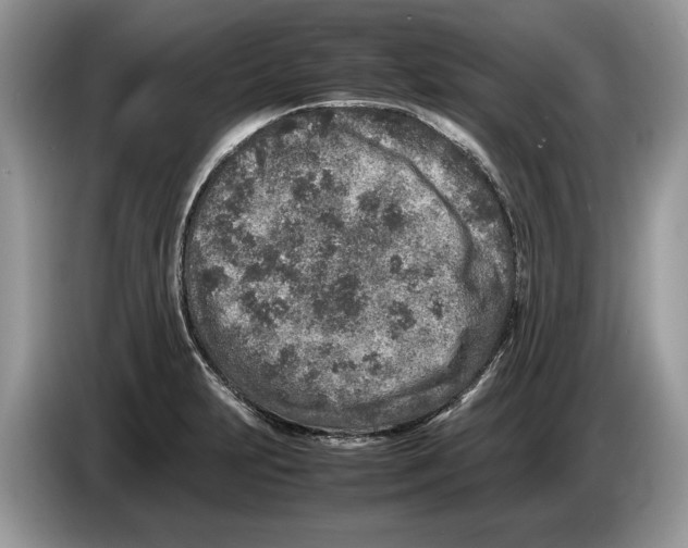 X0000086281231200704262030