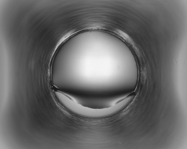 X0000086281234200704262030