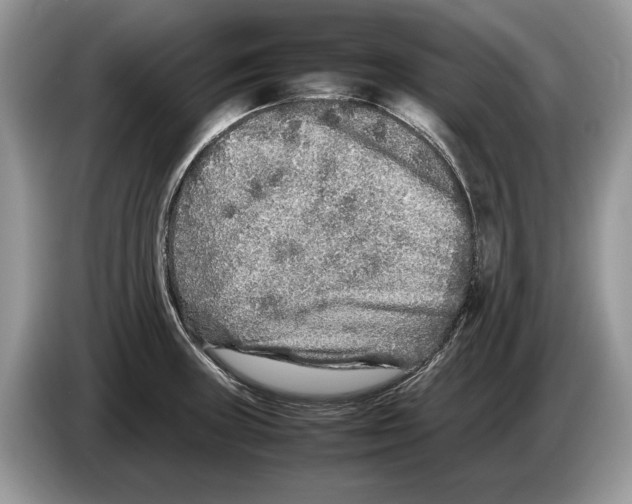 X0000086281235200704262030