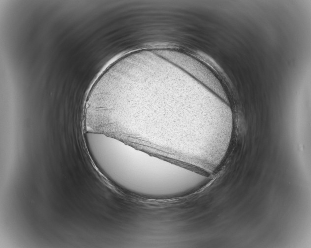 X0000086281236200704262030