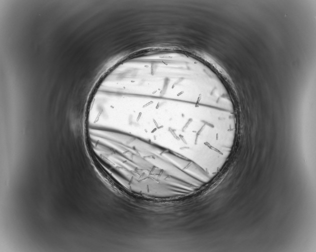 X0000086281237200704262030