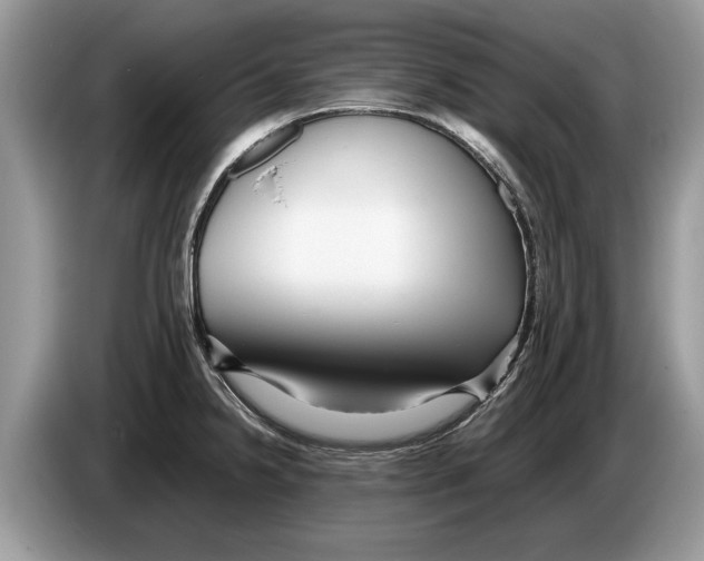X0000086281238200704262030