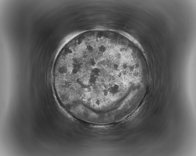 X0000086281239200704262030