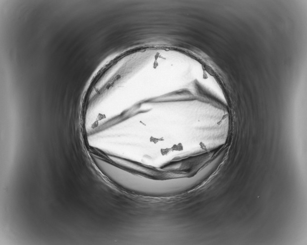 X0000086281240200704262030