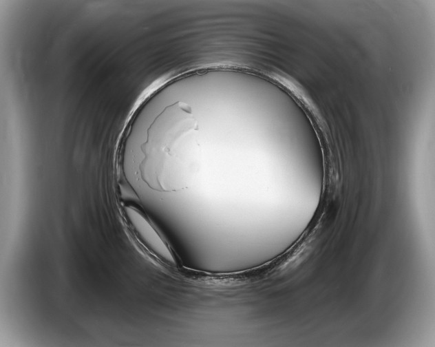 X0000086281242200704262030