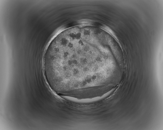 X0000086281243200704262030