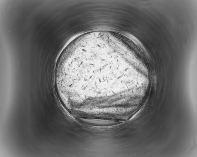 X0000086281244200704262030