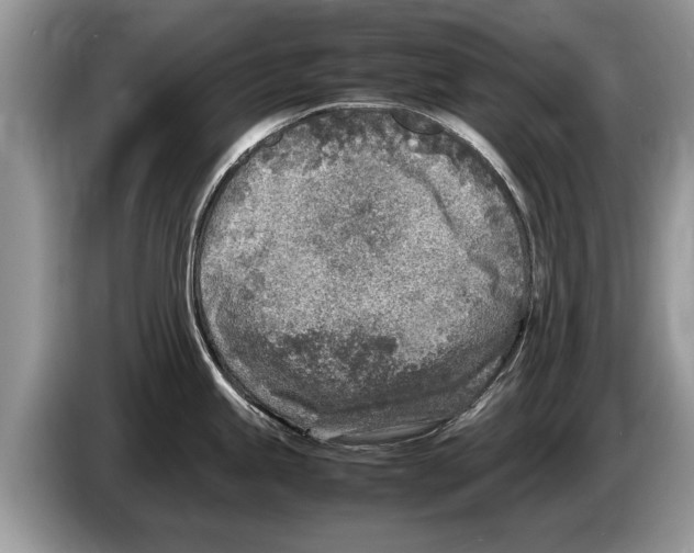 X0000086281245200704262030