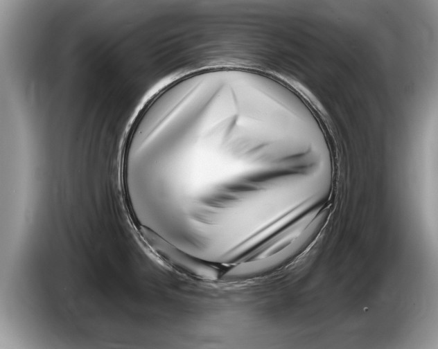 X0000086281246200704262030