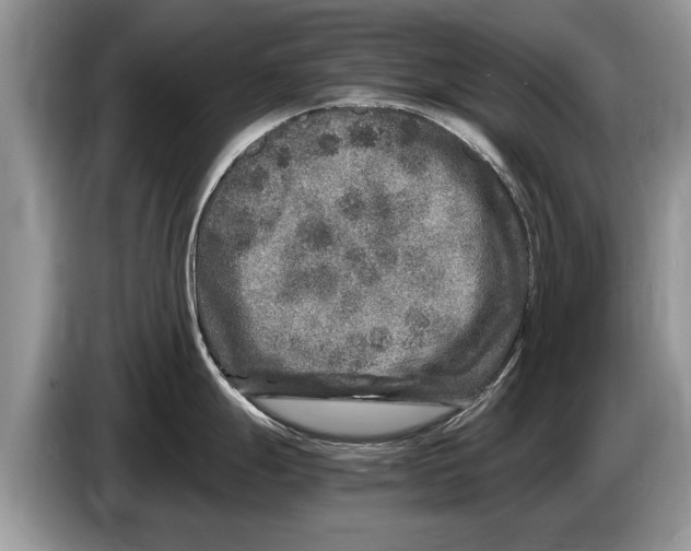 X0000086281247200704262030