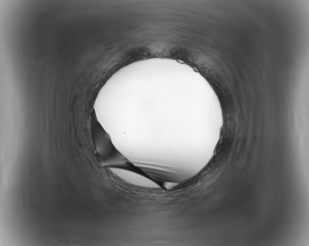 X0000086281249200704262029