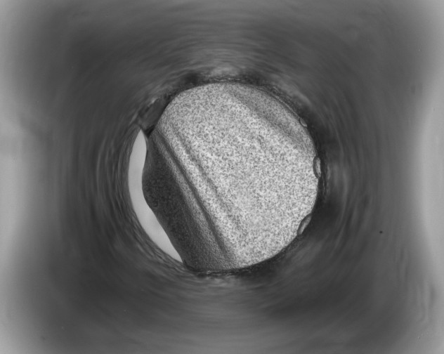 X0000086281250200704262029