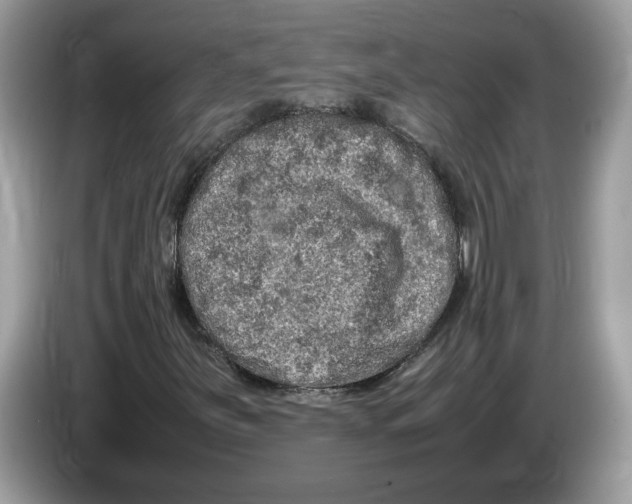X0000086281251200704262029