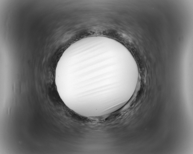 X0000086281253200704262029