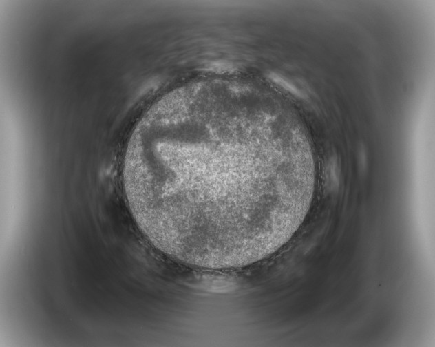 X0000086281254200704262029