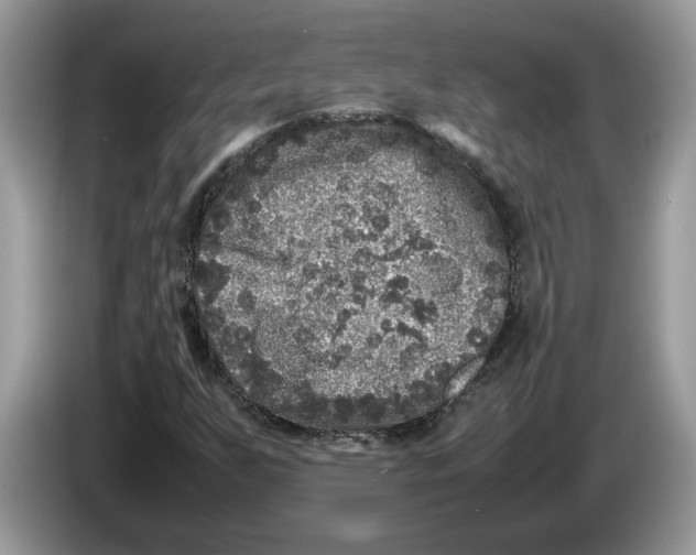 X0000086281255200704262029