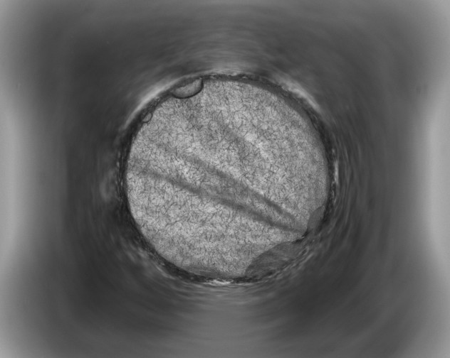 X0000086281256200704262029