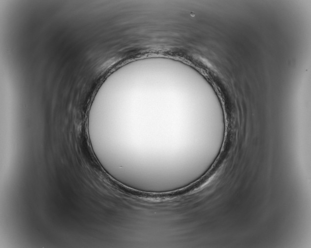 X0000086281257200704262029