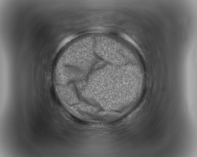 X0000086281259200704262029