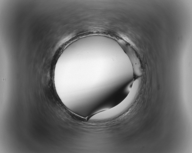X0000086281261200704262029