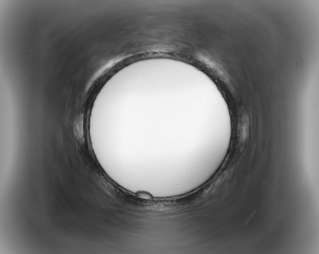 X0000086281262200704262029