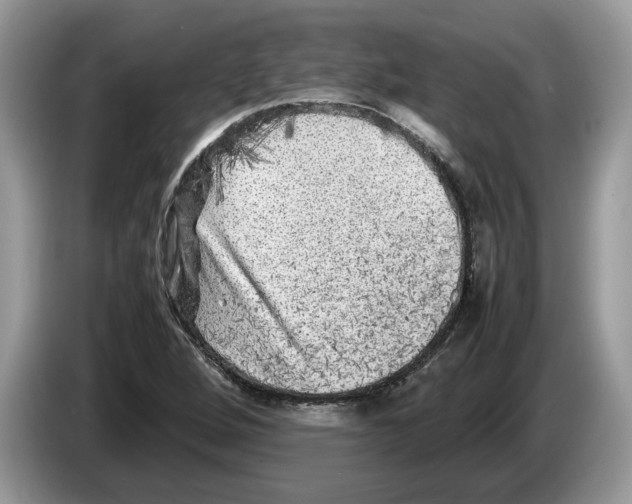 X0000086281264200704262029