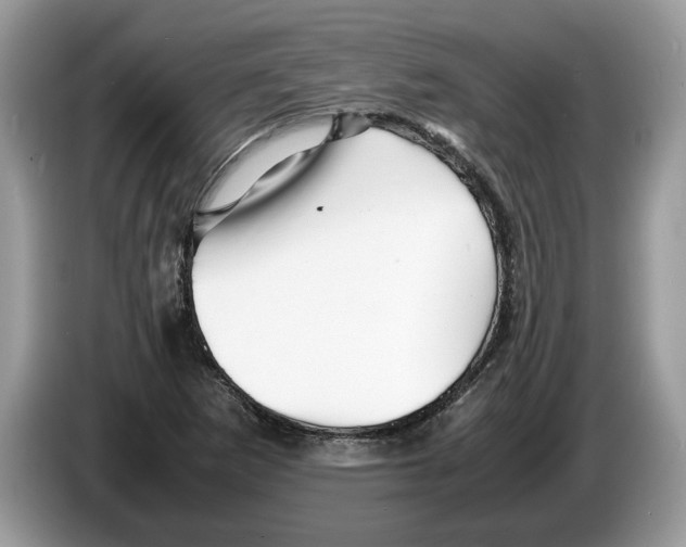 X0000086281265200704262029