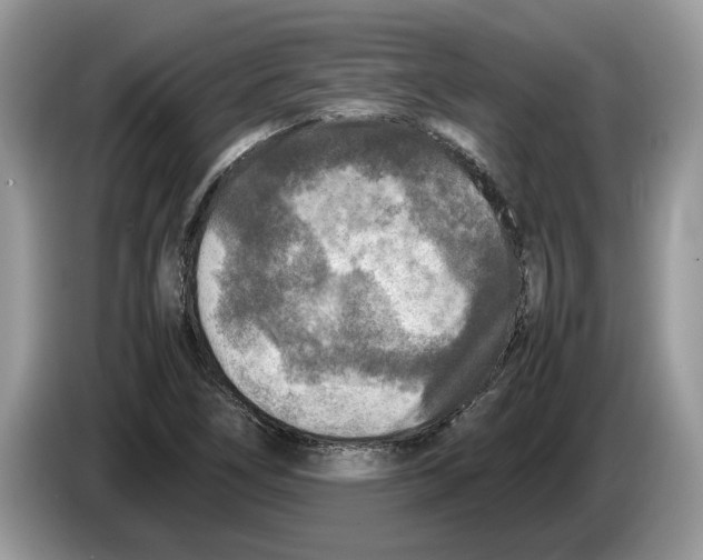 X0000086281266200704262029
