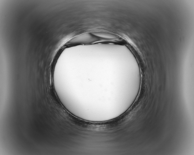 X0000086281269200704262029