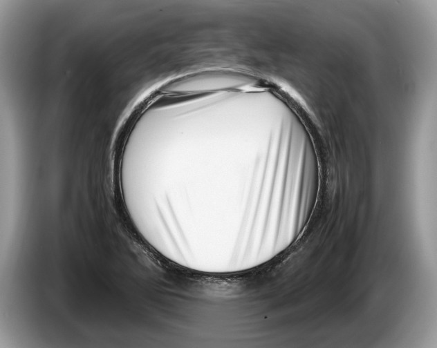 X0000086281270200704262029