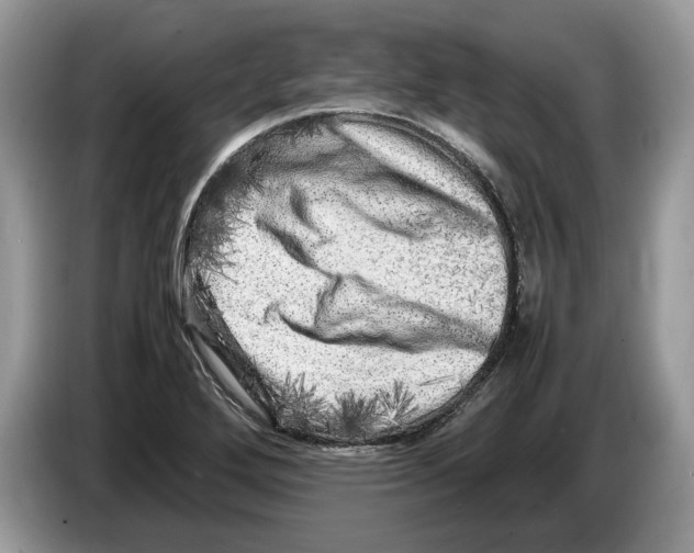 X0000086281272200704262029