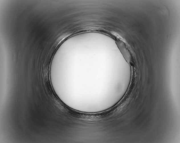 X0000086281273200704262029