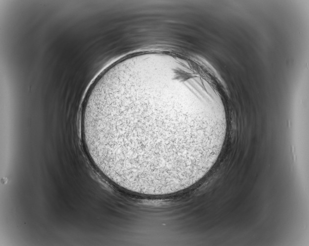 X0000086281276200704262029