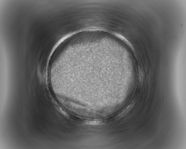 X0000086281278200704262029