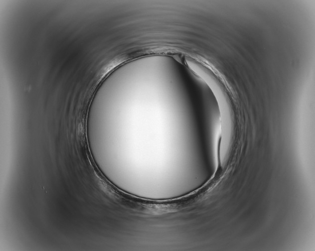 X0000086281281200704262029