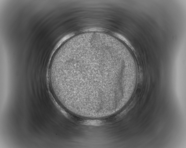 X0000086281282200704262029