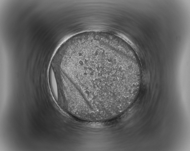 X0000086281283200704262029